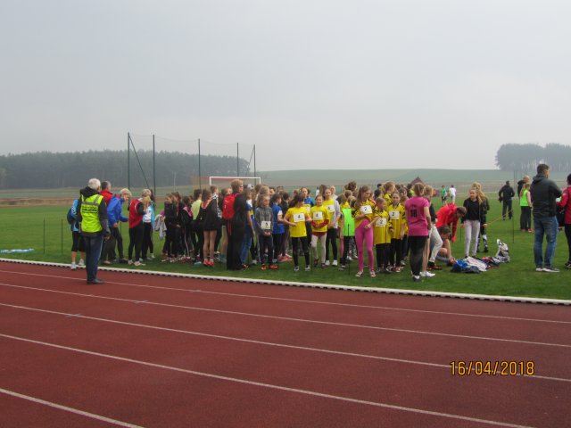 sztaf 17